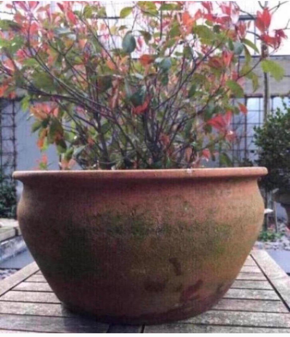 Prachtige Antieke Terracotta Bloempot 36cm - Oud Hollands, Tuin en Terras, Gebruikt, Rond, Minder dan 40 cm, Balkon