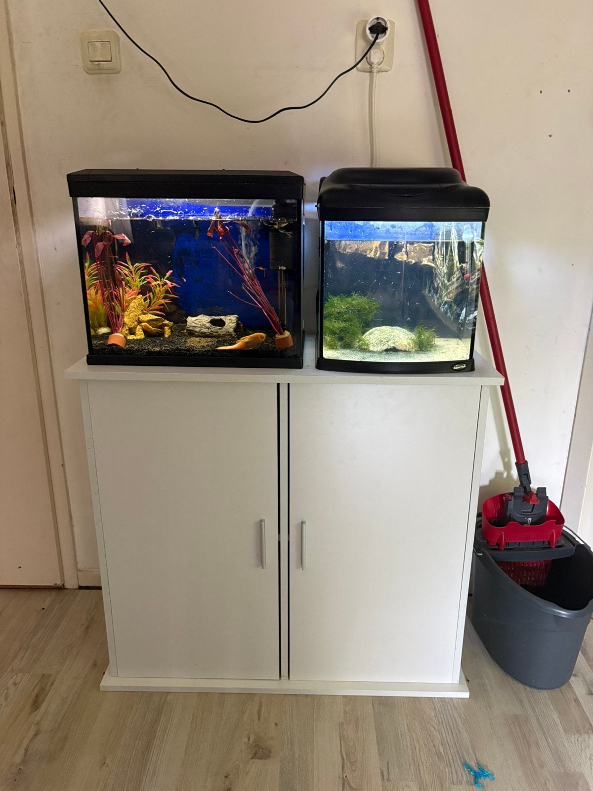 Aquariums, Dieren en Toebehoren, Vissen | Aquaria en Toebehoren, Ophalen, Zo goed als nieuw, Leeg aquarium