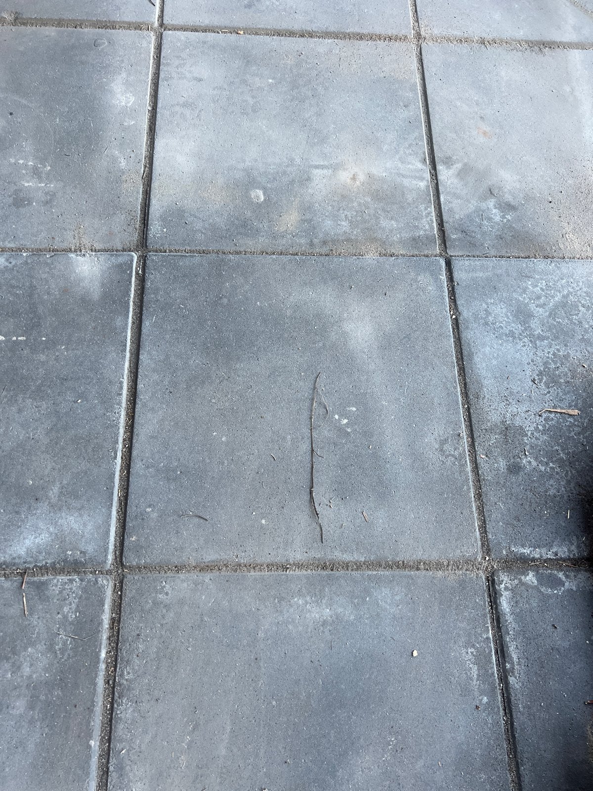 Gratis betontegels 50x50x5 cm (100- 120 stuks), Ophalen, Gebruikt, 10 m² of meer, Vloertegels