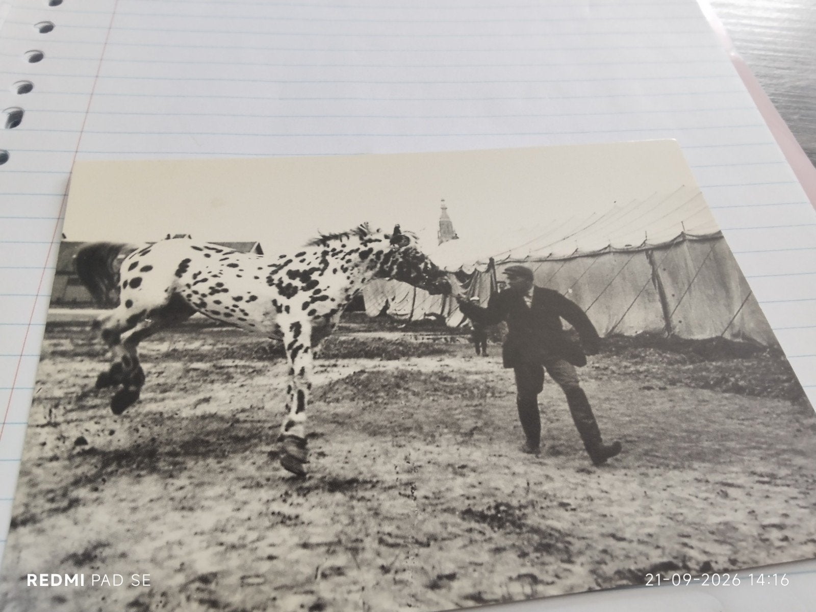Breda 1905 Circus Oscar Carré met appaloosa paard, Verzamelen, Ophalen of Verzenden