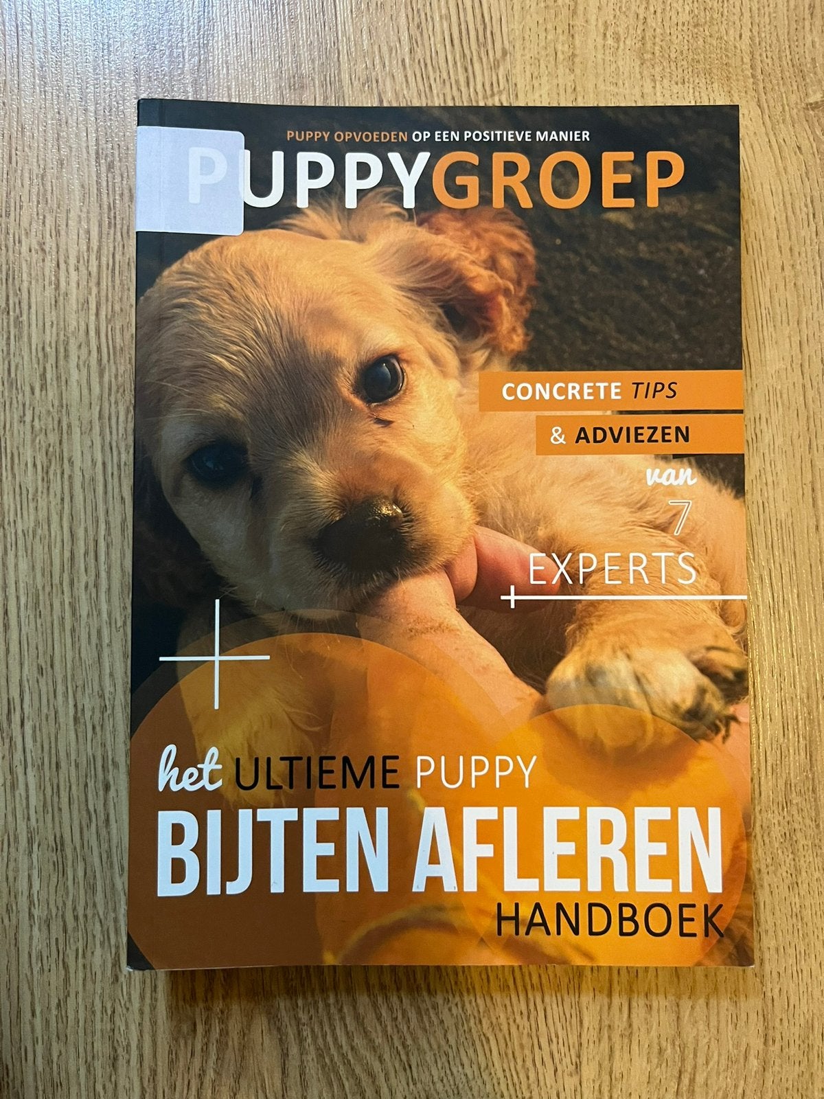 Puppygroep boeken bijten afleren en benchtraining, Boeken, Ophalen of Verzenden, Zo goed als nieuw, Honden