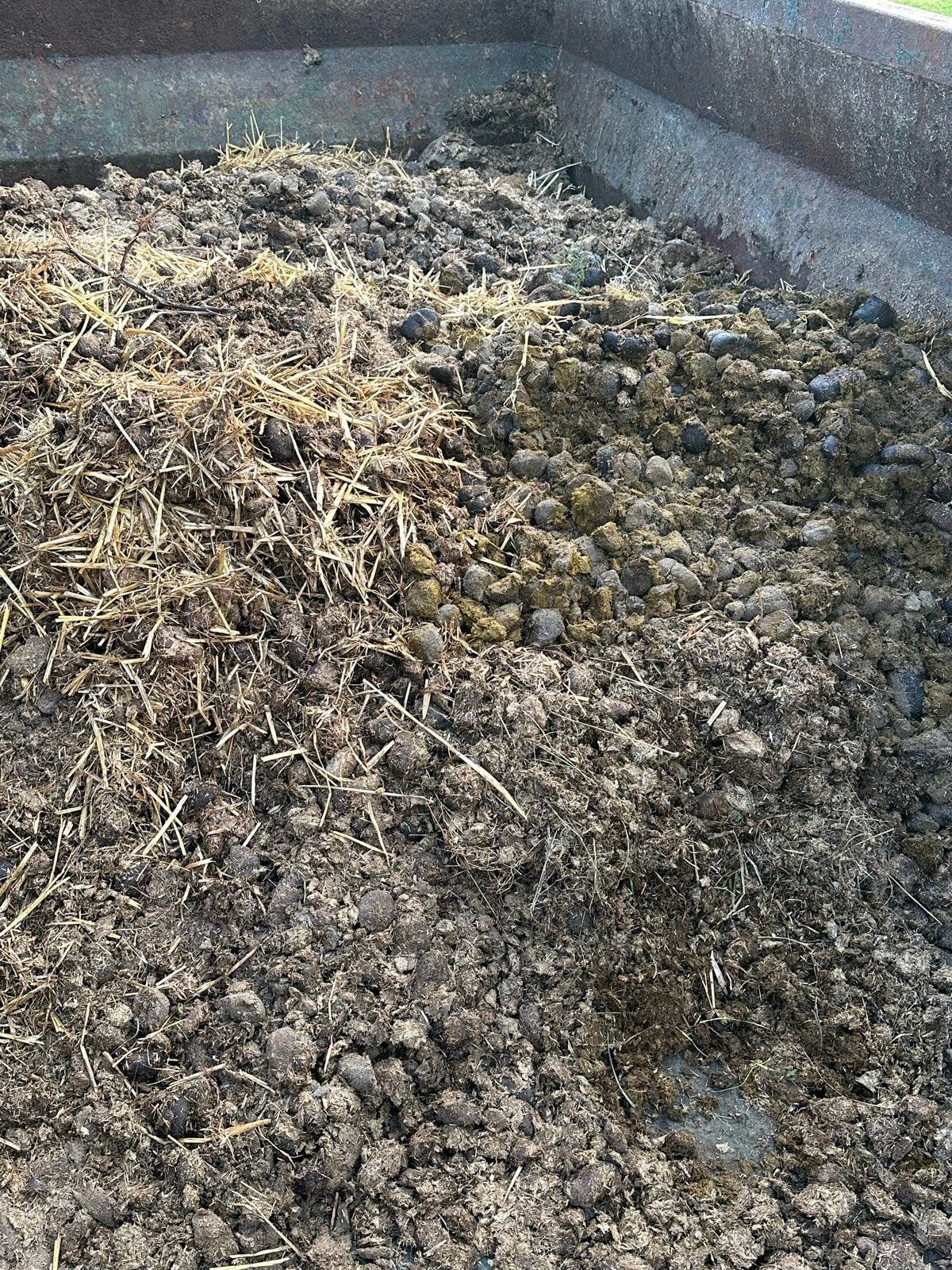 Verse paardenmest - voor uw tuin!, Ophalen, Mest