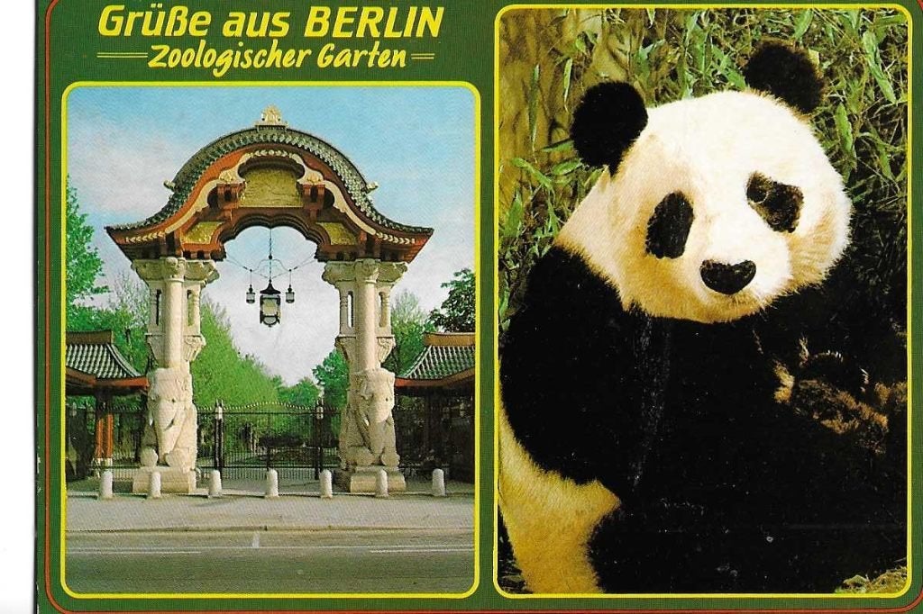 panda  beer  dierentuin  1988  berlijn, Verzamelen, Verzenden, 1980 tot heden, Gelopen, Overige soorten
