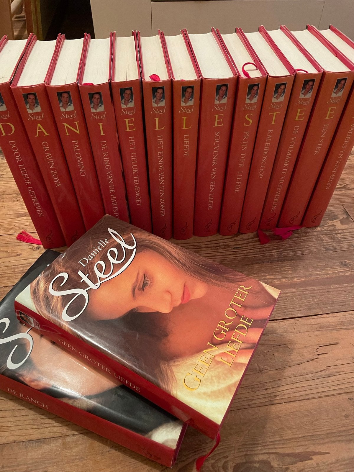 Serie van danielle steel 13+2, Ophalen of Verzenden, Zo goed als nieuw, Nederland