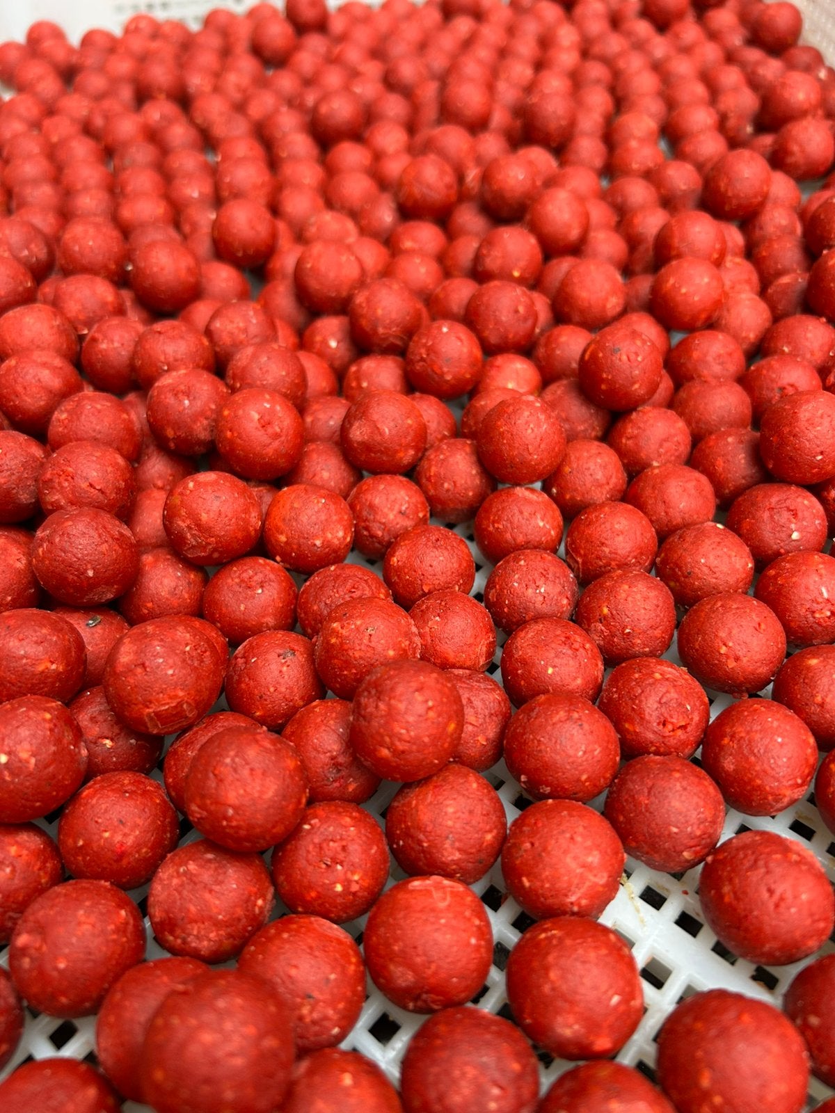 Super garlic boilies  🧄🧄🧄, Ophalen of Verzenden, Nieuw, Overige typen