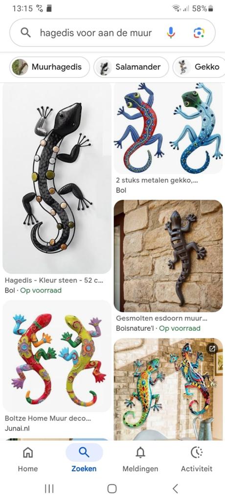 Decoratieve metalen hagedis voor aan de muur gezocht, Ophalen of Verzenden, Nieuw