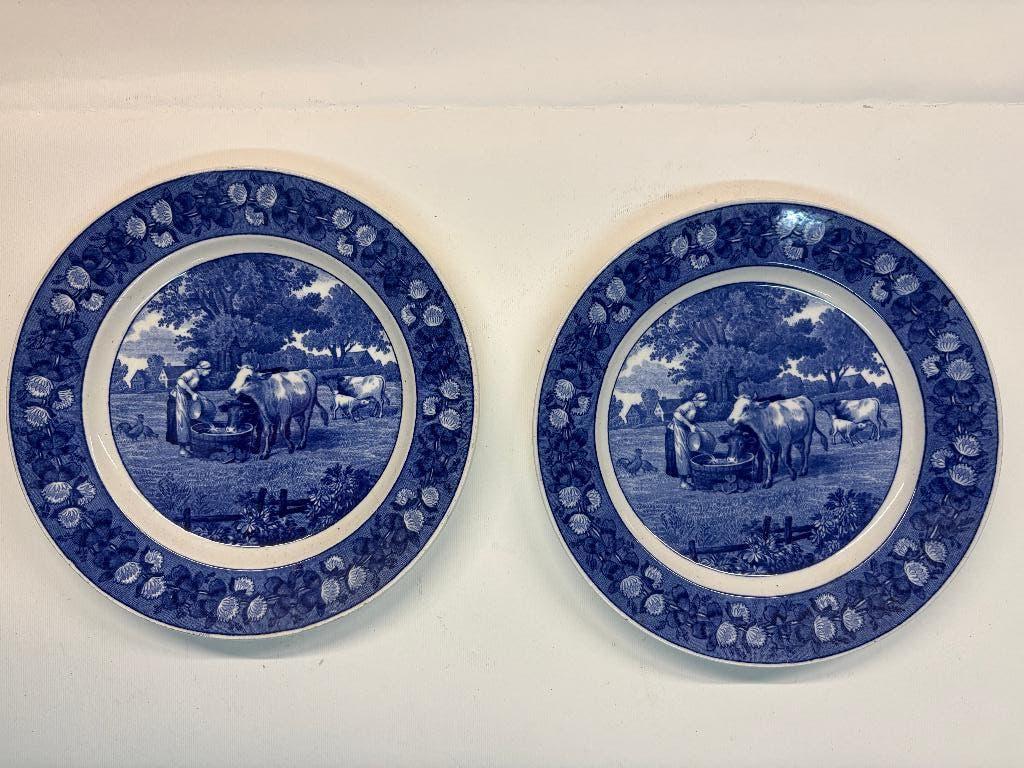 2 Antieke Villeroy & Boch Dresden borden - Decor 6326 -, Antiek en Kunst, Antiek | Servies los, Ophalen of Verzenden