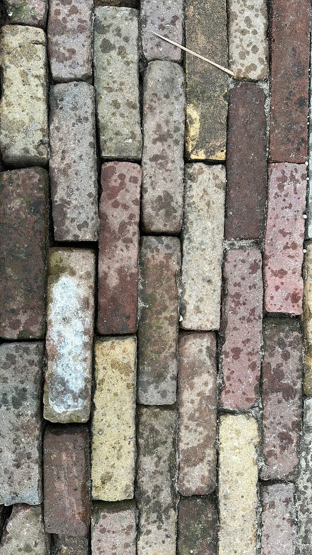 Gezocht ongeveer 50 waaltjes, Tuin en Terras, Ophalen, Overige materialen, Gebruikt, Klinkers