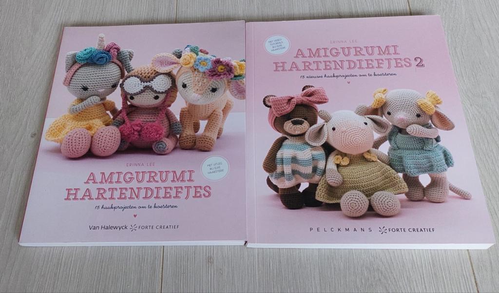 Twee haakboeken, Hobby en Vrije tijd, Breien en Haken, Ophalen of Verzenden, Nieuw, Haken, Patroon of Boek