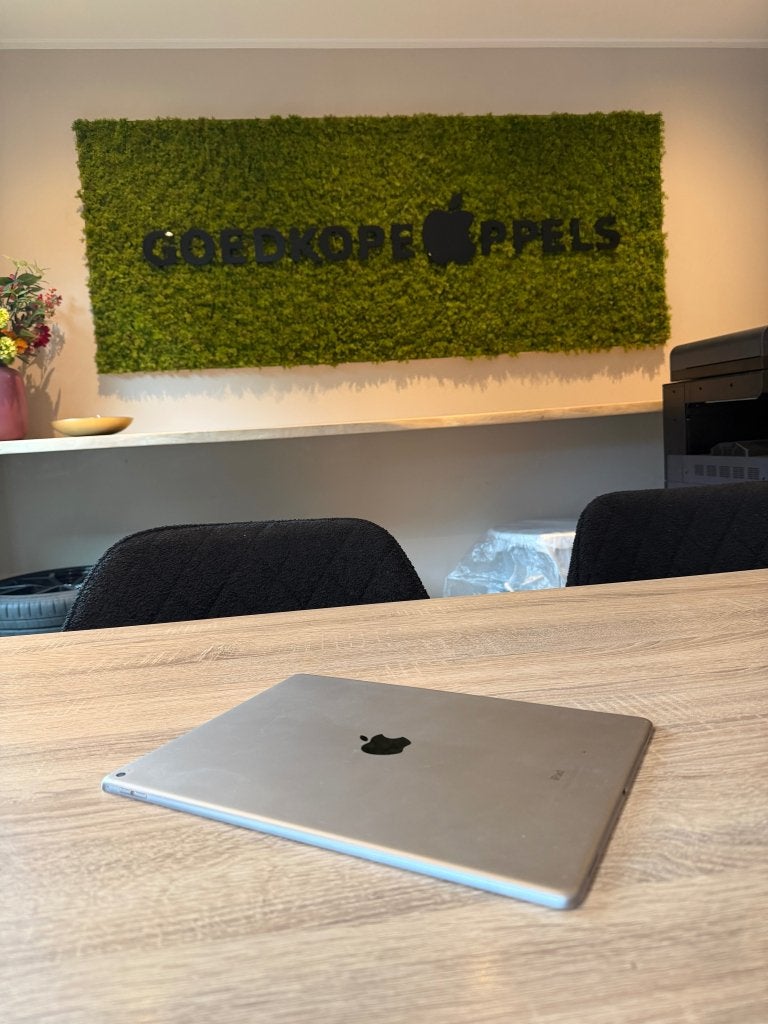 iPad Pro 12 9 inch 1e Gen 32GB Wifi, Computers en Software, Apple iPads, Ophalen, 32 GB, Apple, Cupertino California