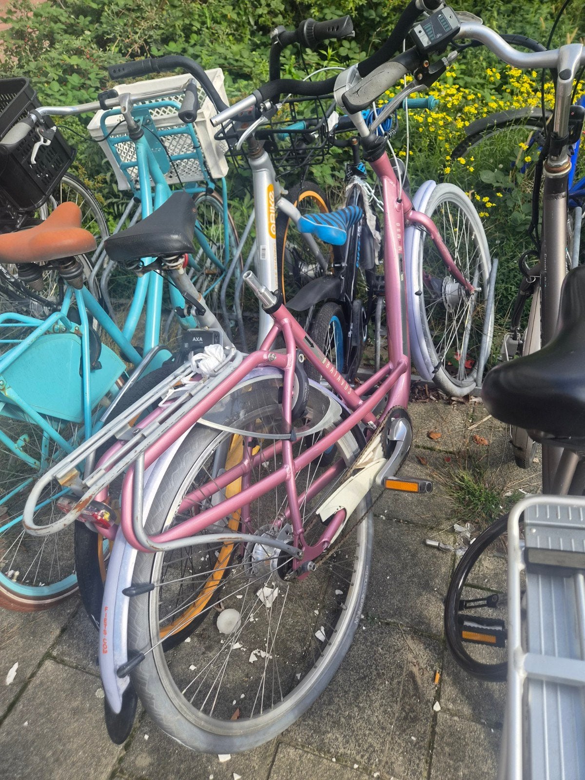 Roze Batavus mama fiets opknap, Ophalen, Gebruikt, Batavus