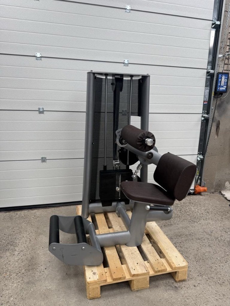 Gym 80 Back extension / Sygnum line/ Rucken, Ophalen, Gebruikt, -, -