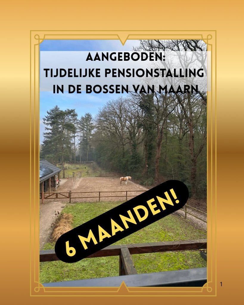 AANGEPAST Aangeboden: Tijdelijke stalling op gouden plek, Dieren en Toebehoren, Stalling, 1 paard of pony