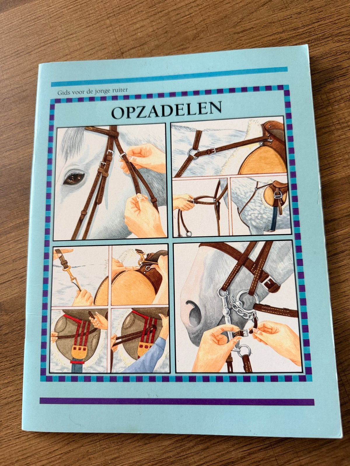 Opzadelen - Gids voor de jonge ruiter, Ophalen of Verzenden, Nieuw, Overige niveaus