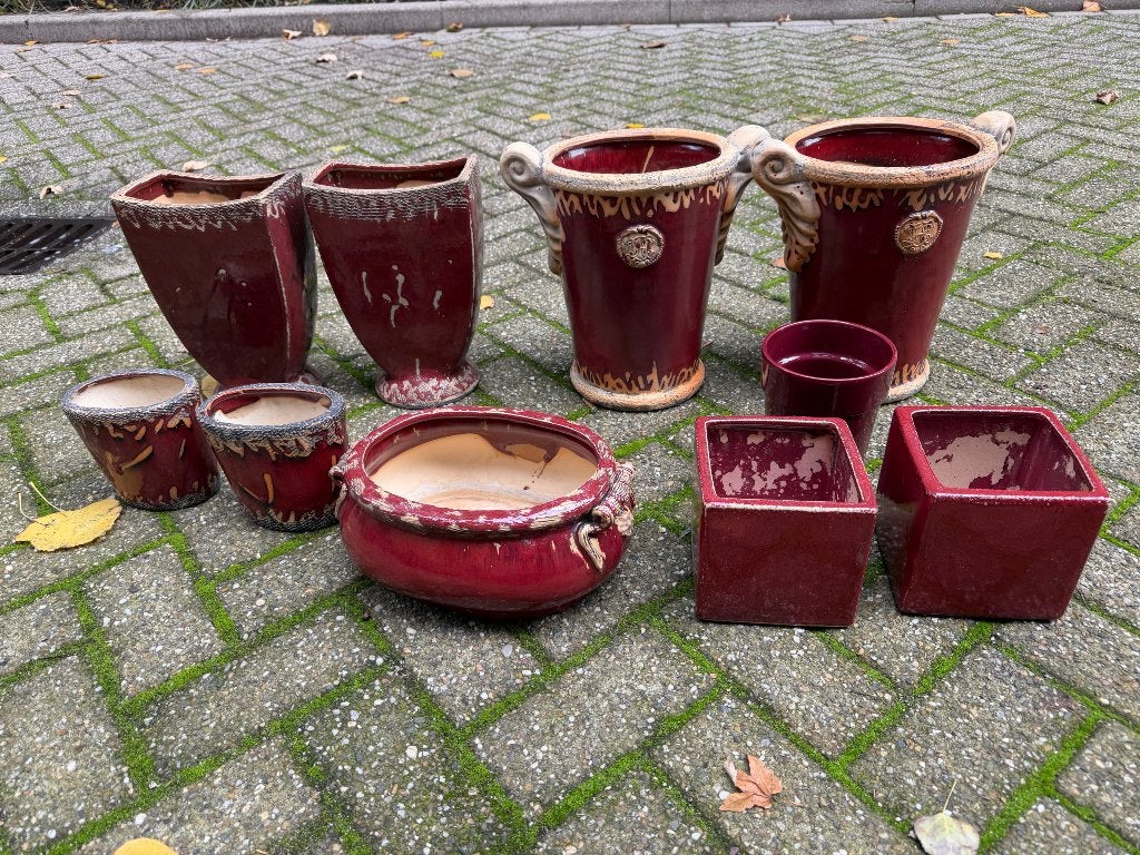 Ossebloed  rode bloempotten, Ophalen, Gebruikt, Rond, Aardewerk
