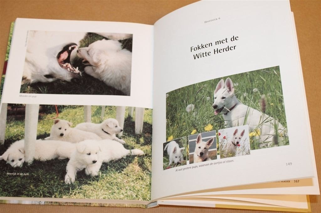 De Witte Herder — Compleet Rashandboek, 1e Druk 2002, Ophalen of Verzenden, Gelezen, Honden