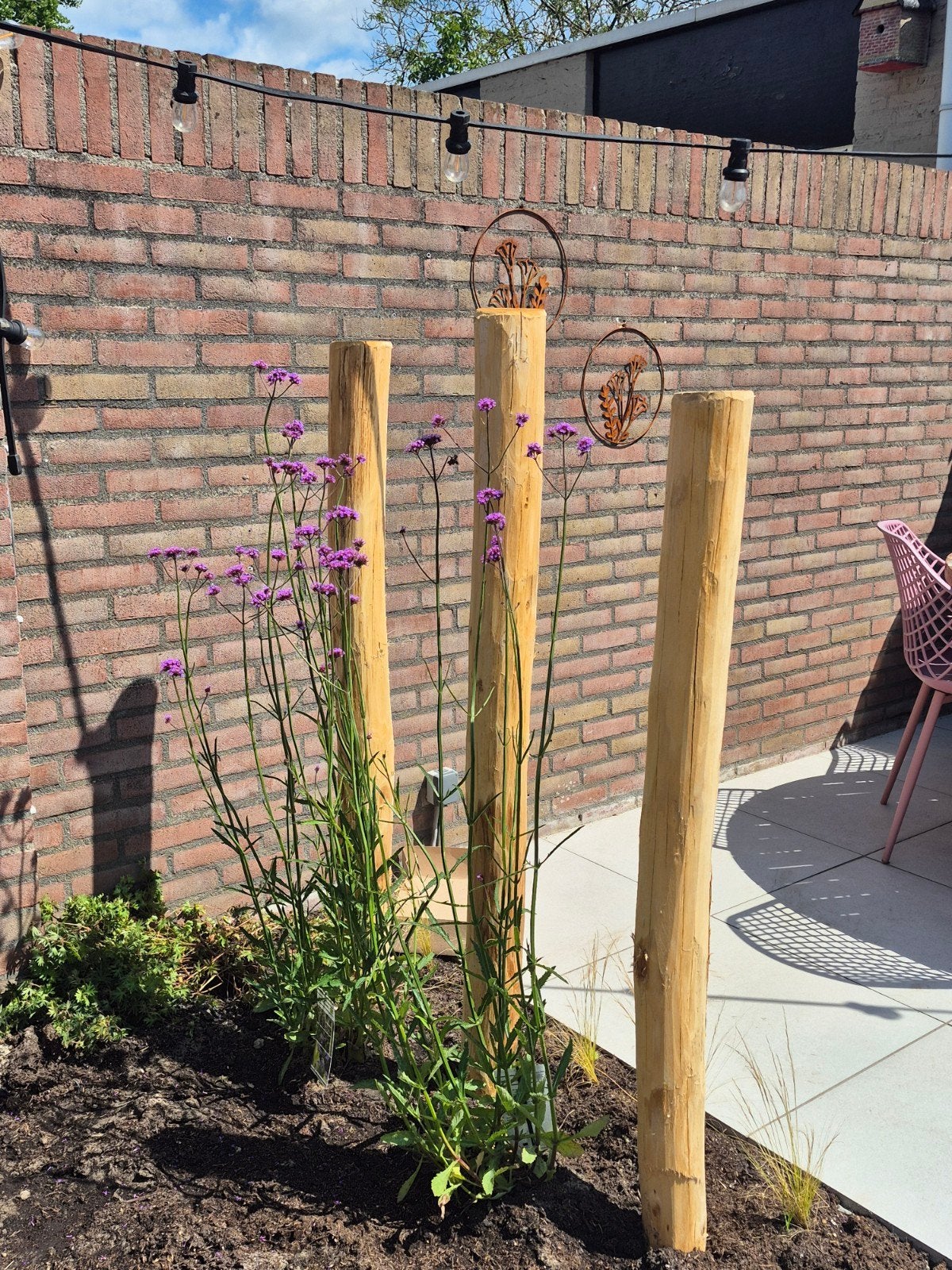 Gezocht (gratis) vaste tuinplanten, Tuin en Terras, Planten | Tuinplanten, Ophalen, Overige soorten, Halfschaduw