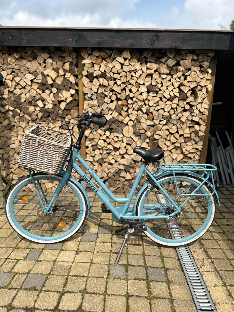 Mooie Batavus Cargo damesfiets 55cm, Versnellingen, Batavus, Ophalen of Verzenden, Schijfrem