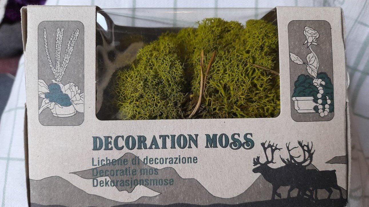 Decoratie mos, Ophalen of Verzenden, Nieuw, Overige typen