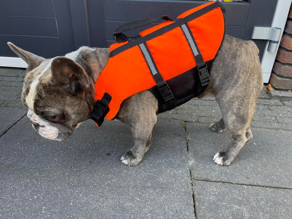 Honden/puppy zwemvest Flamingo, Dieren en Toebehoren, Honden-accessoires, Ophalen, Zo goed als nieuw