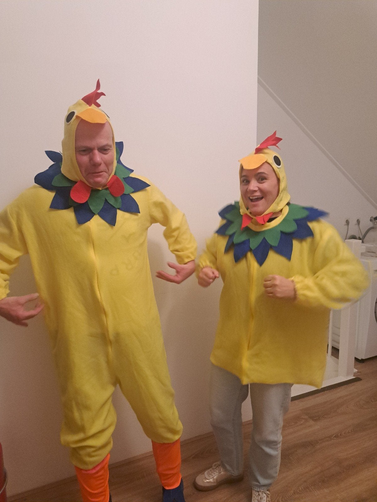 Leuke Kippenpakken voor Carnaval of Themafeest, Ophalen of Verzenden, Gedragen, Carnaval, Kleding