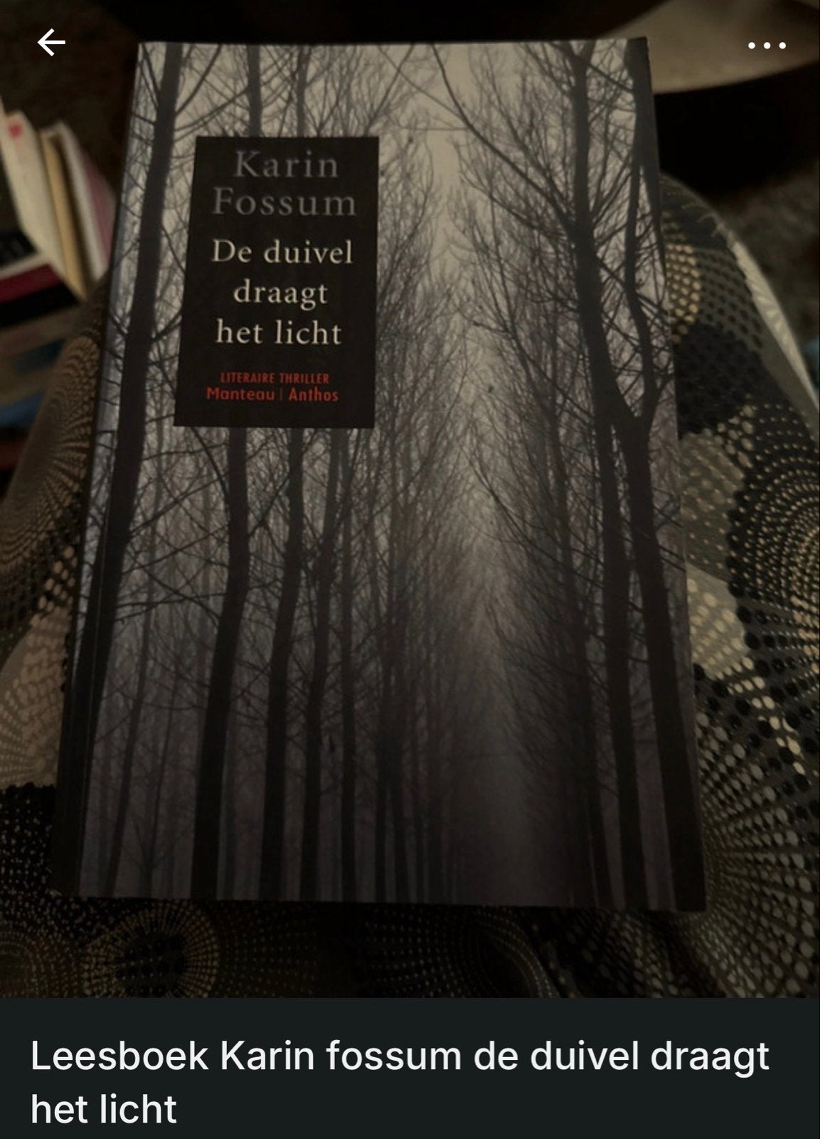 Karin Fossum - De duivel draagt het licht (Literaire thrille, Boeken, Ophalen of Verzenden, Gelezen, Europa overig