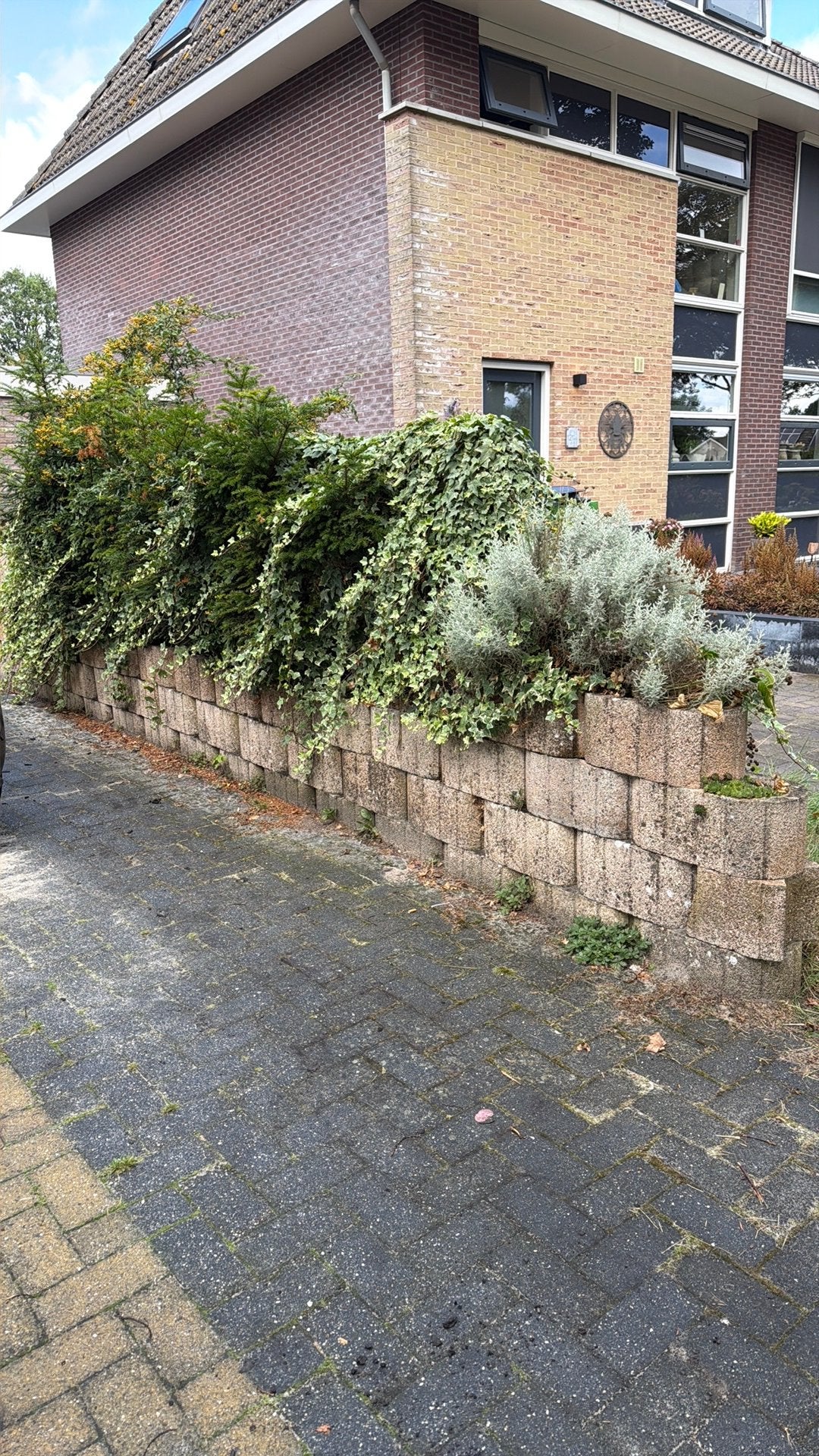 Stapelblokken 24,5x39,5x20 ongeveer 120 stuks, Ophalen, Overige materialen, Gebruikt, Overige typen