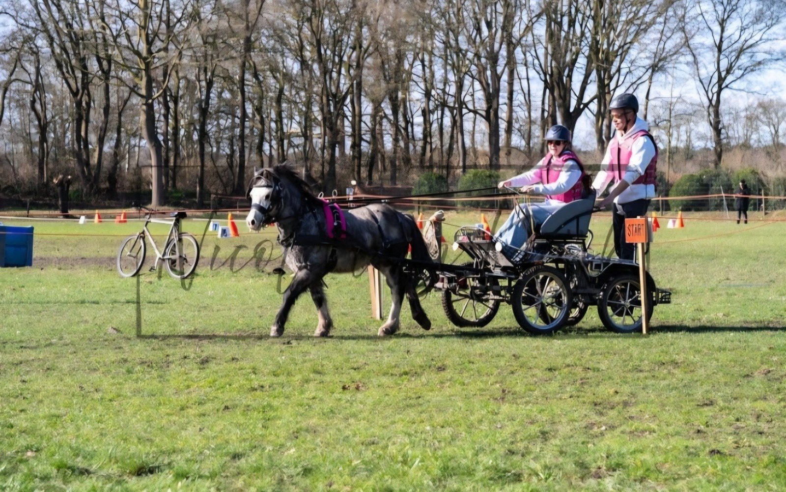 Plek vrij voor het beleren van (mini)pony's tot 1.25