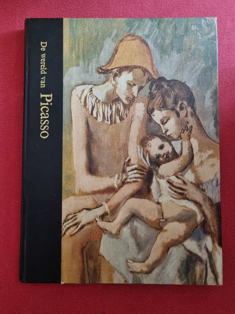 picasso -de wereld van, Ophalen of Verzenden, Zo goed als nieuw