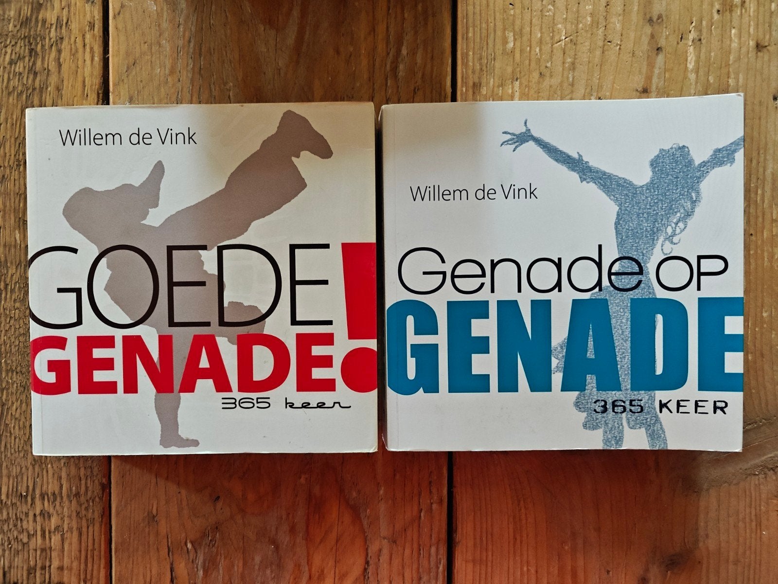 2 Dagboeken van Willem de Vink., Ophalen of Verzenden
