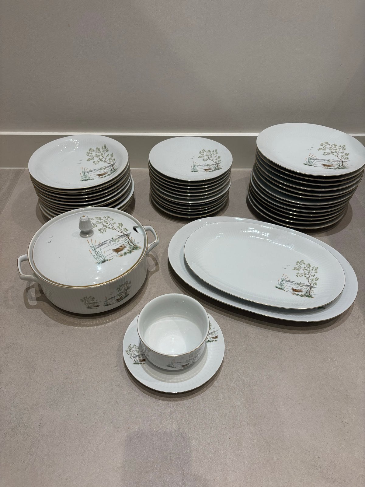 Vintage servies met landschap decoratie - Compleet, Ophalen, Overige merken, Vintage, Zo goed als nieuw