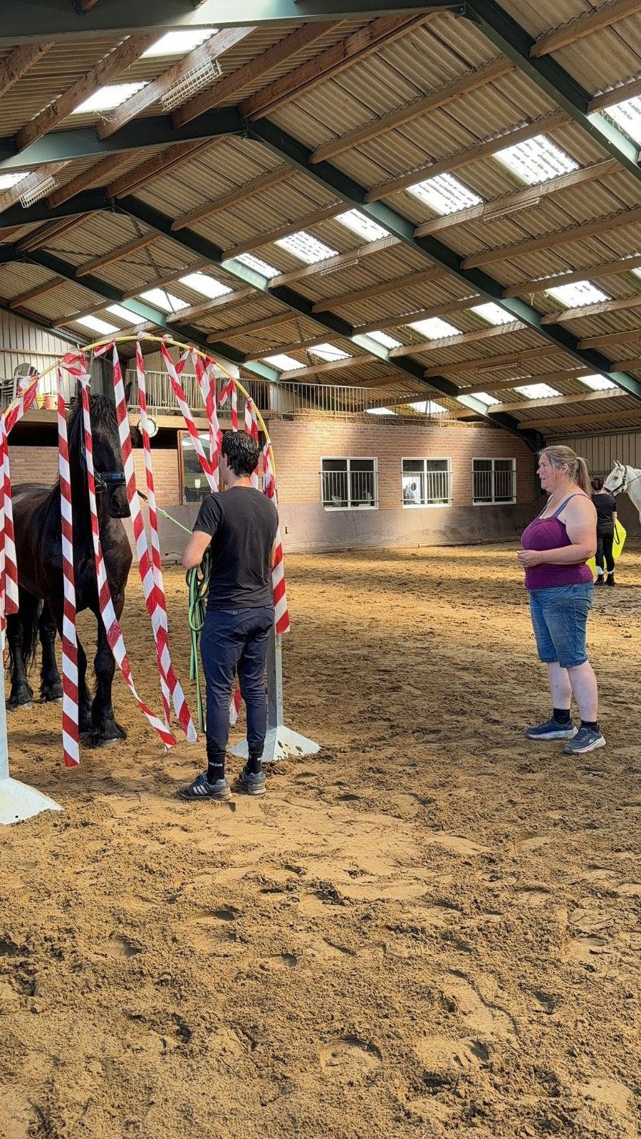 Paardvriendelijke training en lessen