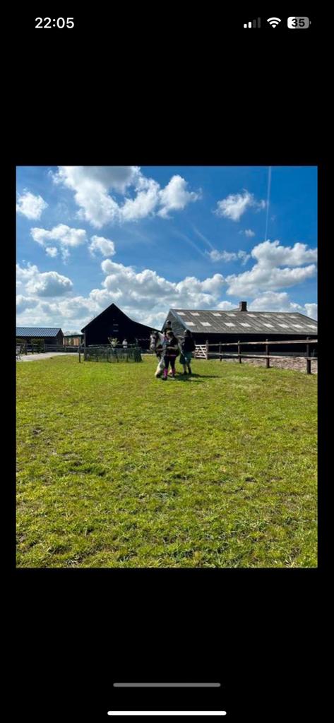 Gezellige kleinschalige Pensionstal Escharen Grave Wijchen, Stalling, 1 paard of pony