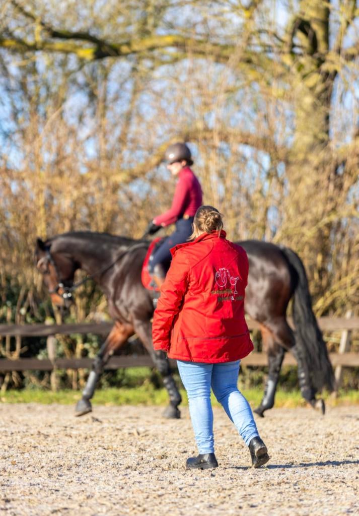 Zadelpasser gezocht?, Ophalen, Nieuw, Dressuur
