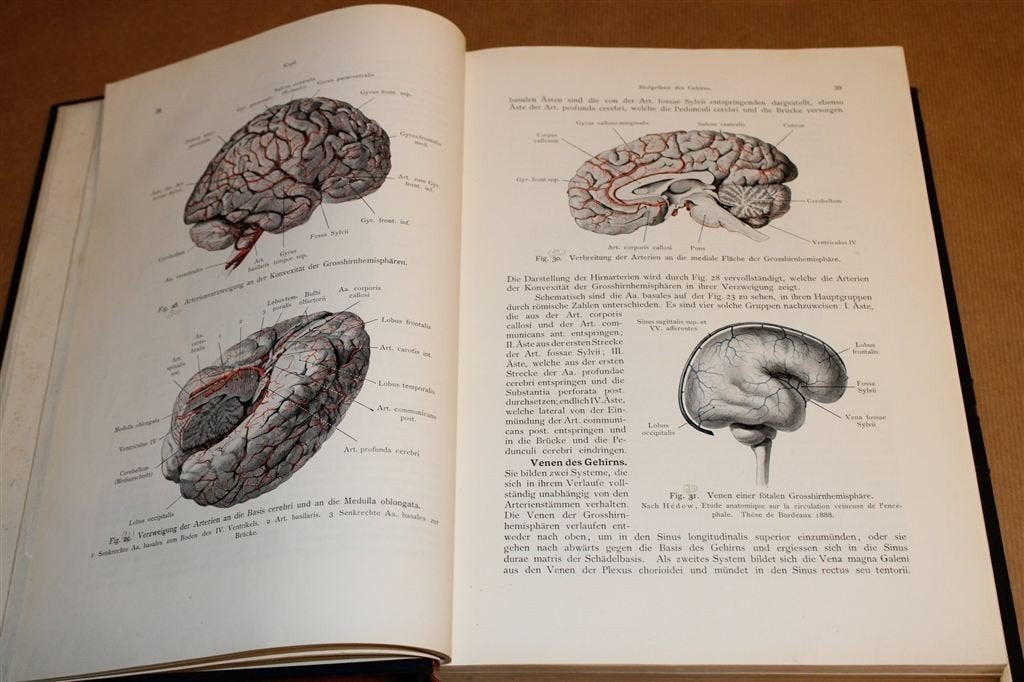 Topografische Anatomie [1907] — Antiek — 604 Afb., Ophalen of Verzenden