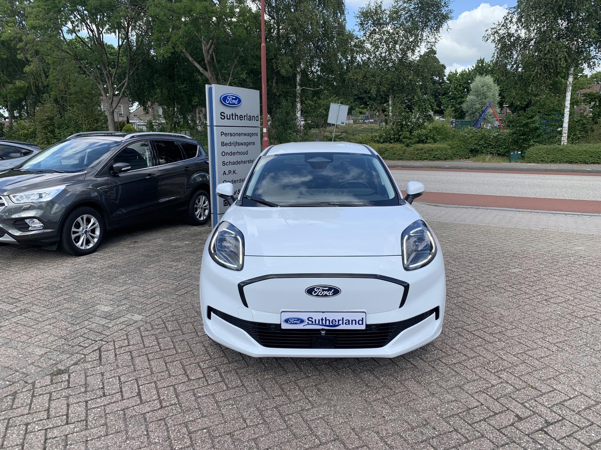 Ford Puma Gen-e Select | 168pk | Winter Pack | Trekhaak Afne, Auto's, 419 km, Stof, Puma, 750 kg