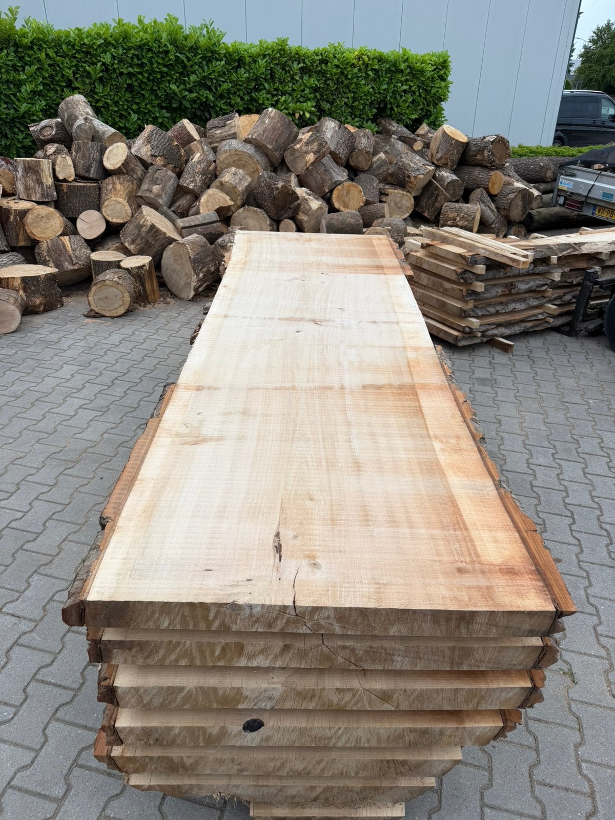 Zeer grote boomstambladen 300x90/95x7 cm