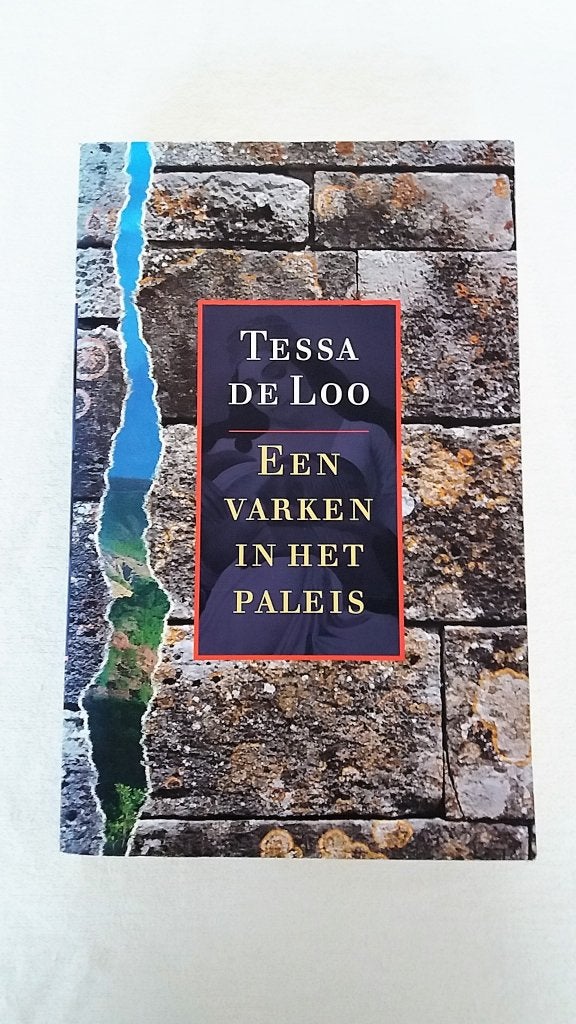 Tessa de loo. Een varken in het paleis, Boeken, Ophalen of Verzenden, Gelezen