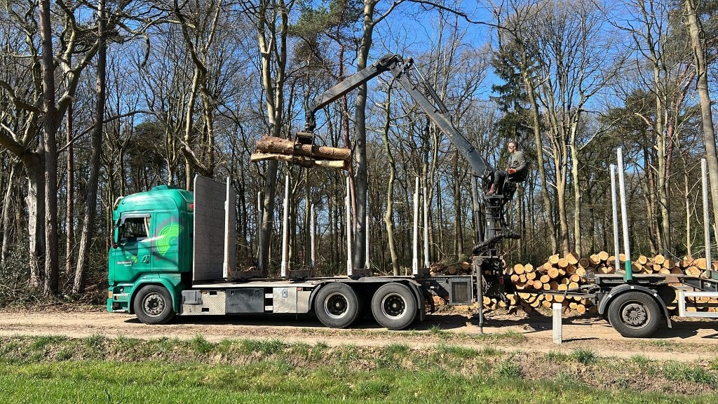 Brandhout rondhout, 6 m³ of meer, Ophalen of Verzenden, Eikenhout, Stammen