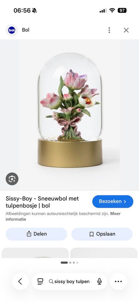 GEZOCHT! Sissy Boy sneeuwbol schudbol tulpen, Ophalen, Zo goed als nieuw