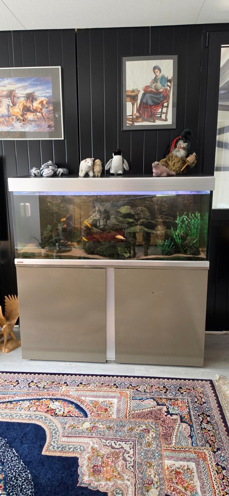 Compleet chicliden Eheim aquarium, Dieren en Toebehoren, Vissen | Aquaria en Toebehoren, Ophalen