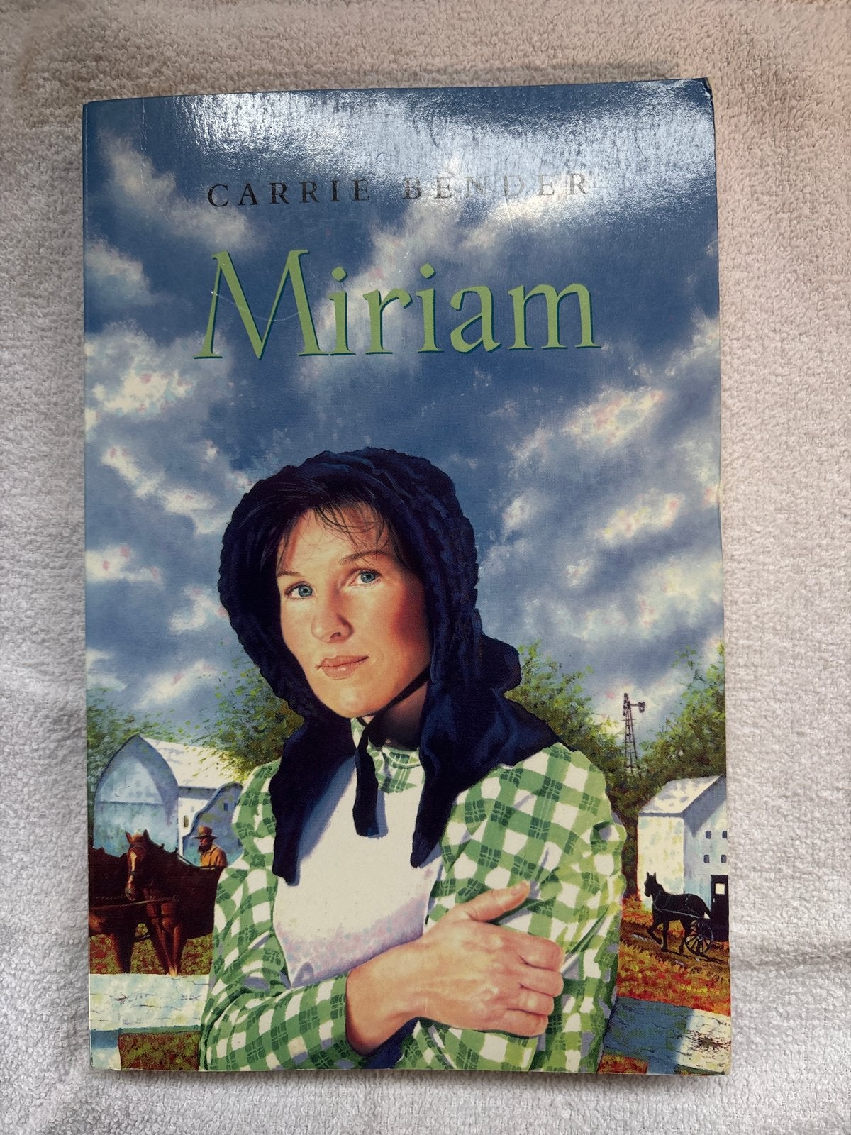 Miriam - Carrie Bender (Amish roman), Ophalen of Verzenden, Gelezen, Amerika