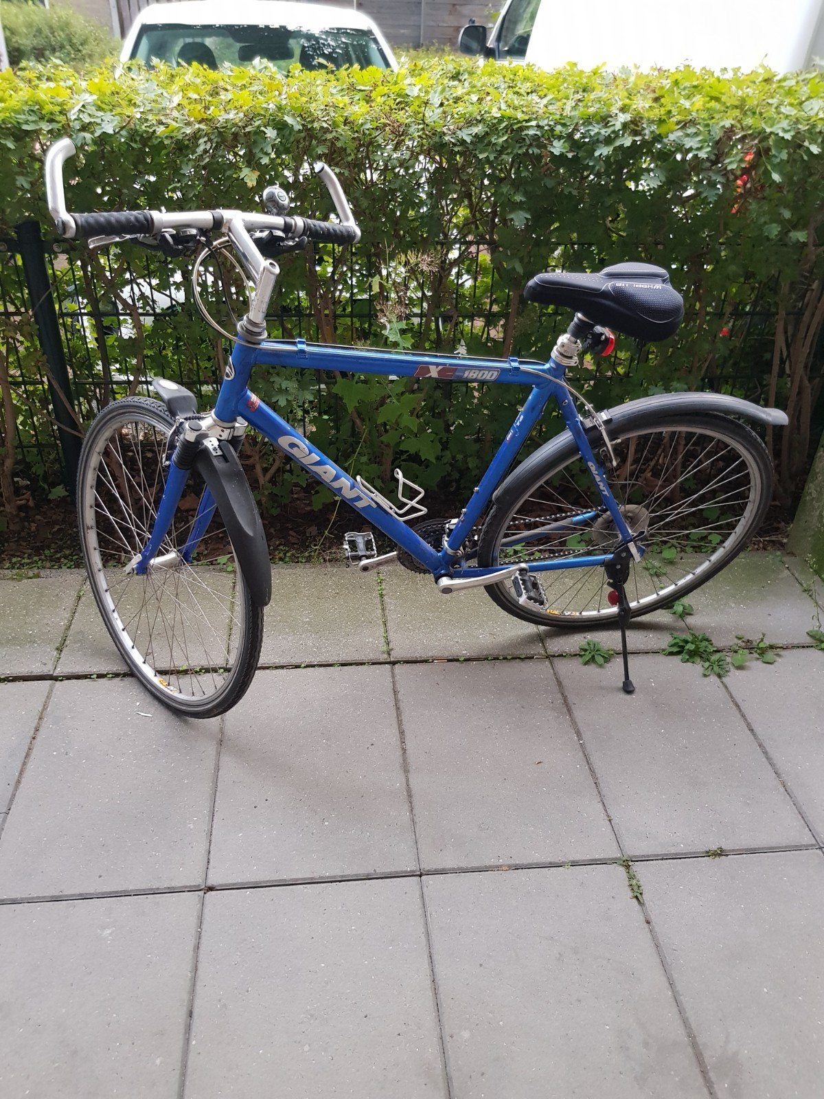 Gaint rijwielen, Ophalen, Gaint sportfiets, Gebruikt, Overige typen