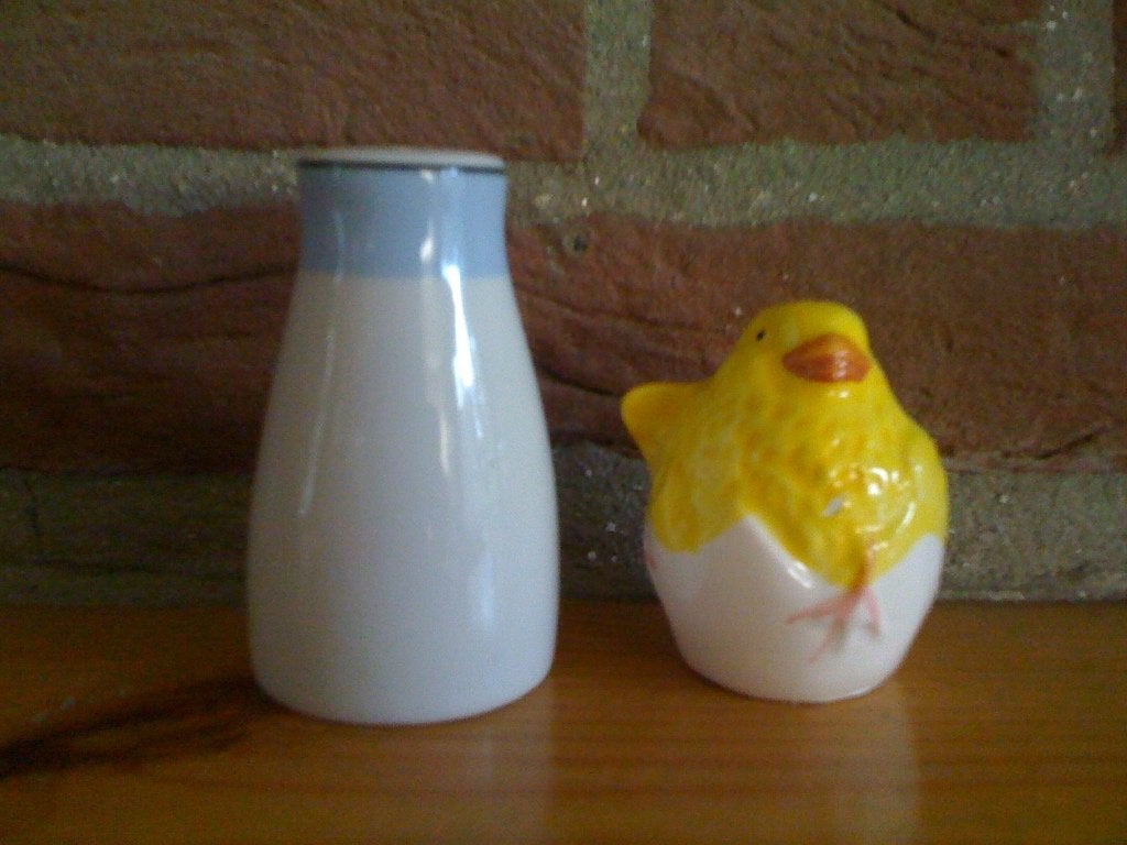 zout- en peper vaatjes, Overige typen, Nieuw, Ophalen of Verzenden, Overige stijlen