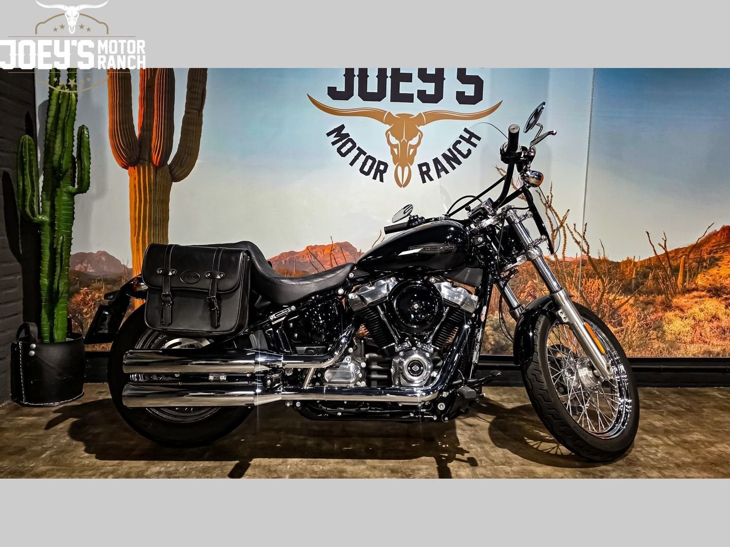 HARLEY-DAVIDSON SOFTAIL STANDARD FXST (bj 2021), 2 cilinders, Bedrijf, Onbekend, Meer dan 35 kW