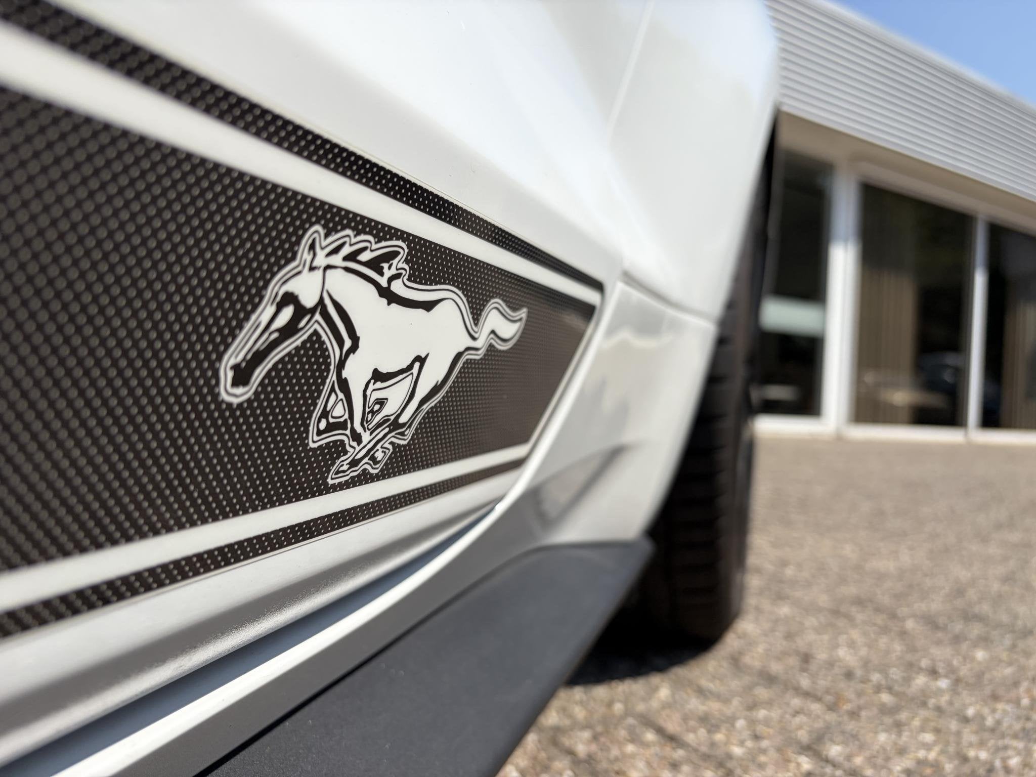 Ford Mustang Fastback 2.3 EcoBoost / 317 PK / Automaat / Rac, Achterwielaandrijving, Gebruikt, Euro 6, 4 stoelen