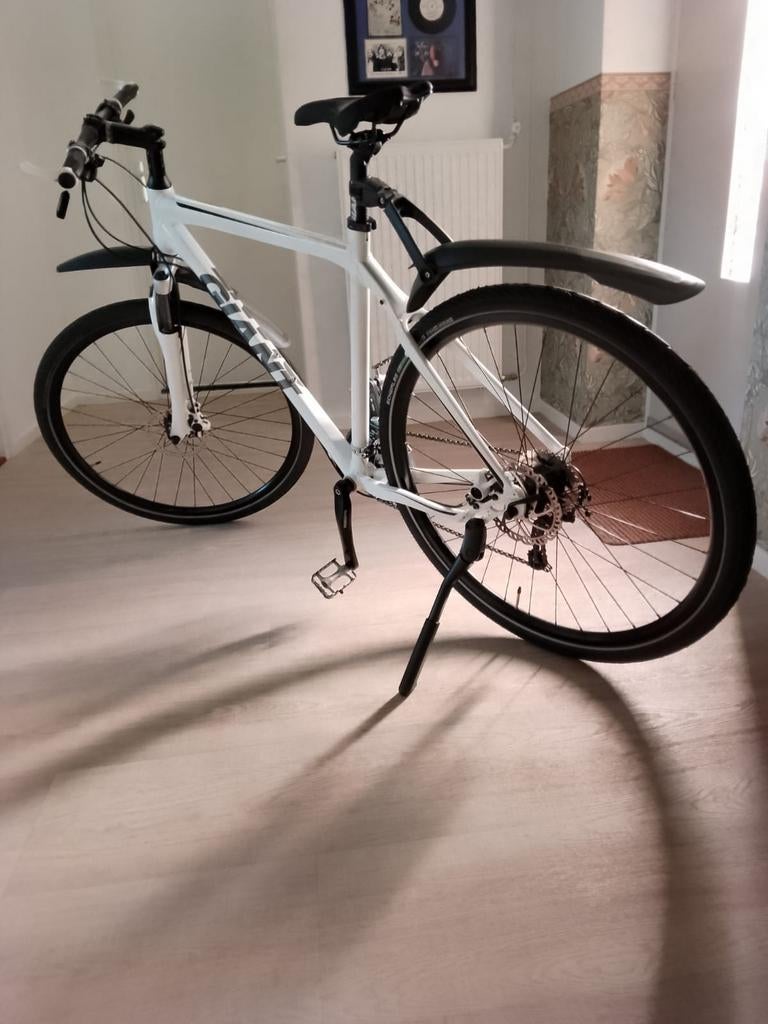 Giant Roam XR2 Cross Hybride Wit, Ophalen, 28 inch, Vering, Giant