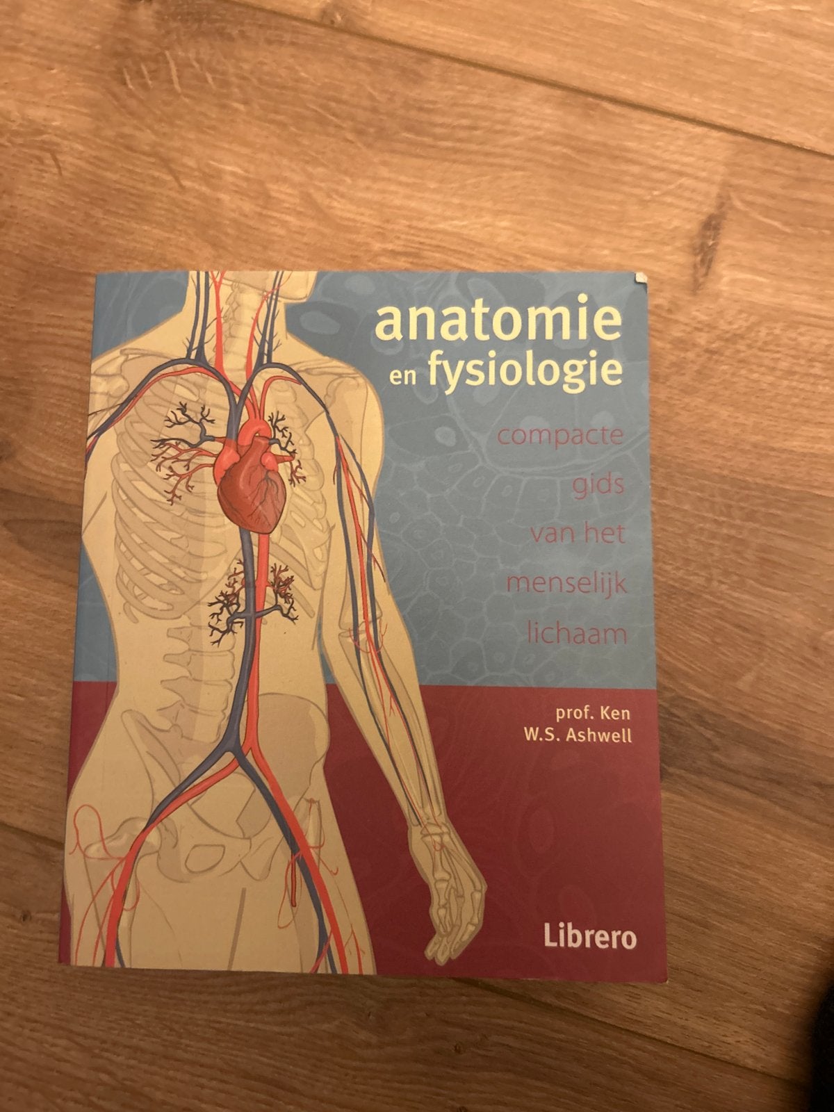 Anatomie en Fysiologie - Compacte Gids Menselijk Lichaam, Ophalen of Verzenden, Beta, Zo goed als nieuw, HBO