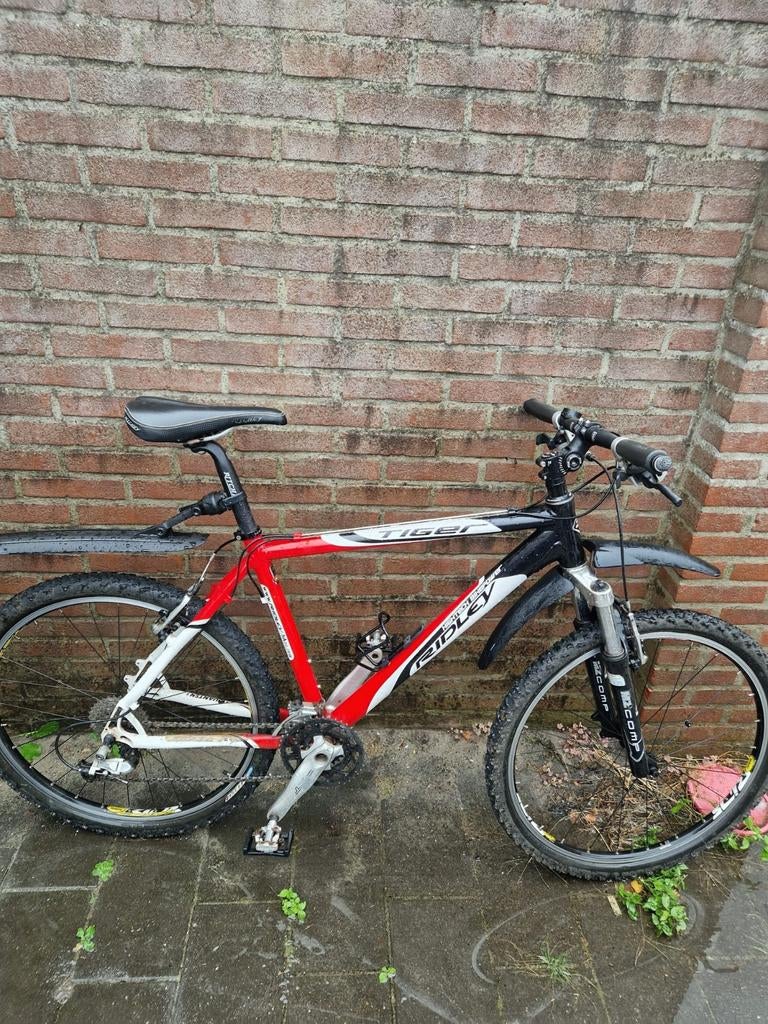 Ridley Tiger Mountainbike - Rood/Zwart, Ophalen, Gebruikt, Overige merken