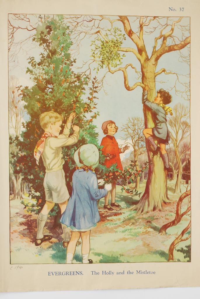 De Hulst en de Maretak - Schoolposter jaren 30, Verzenden, Natuur en Biologie